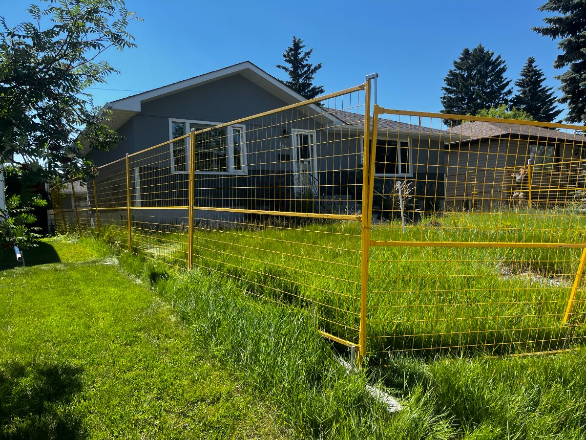 Yellow temporary fence panels around an overgrown residential yard