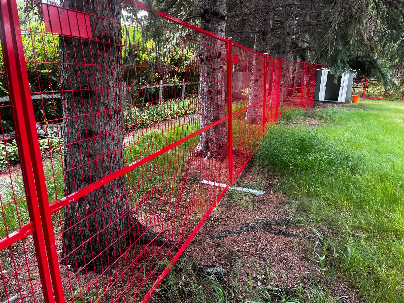 Red temporary fence panels running along a treeline in a backyard